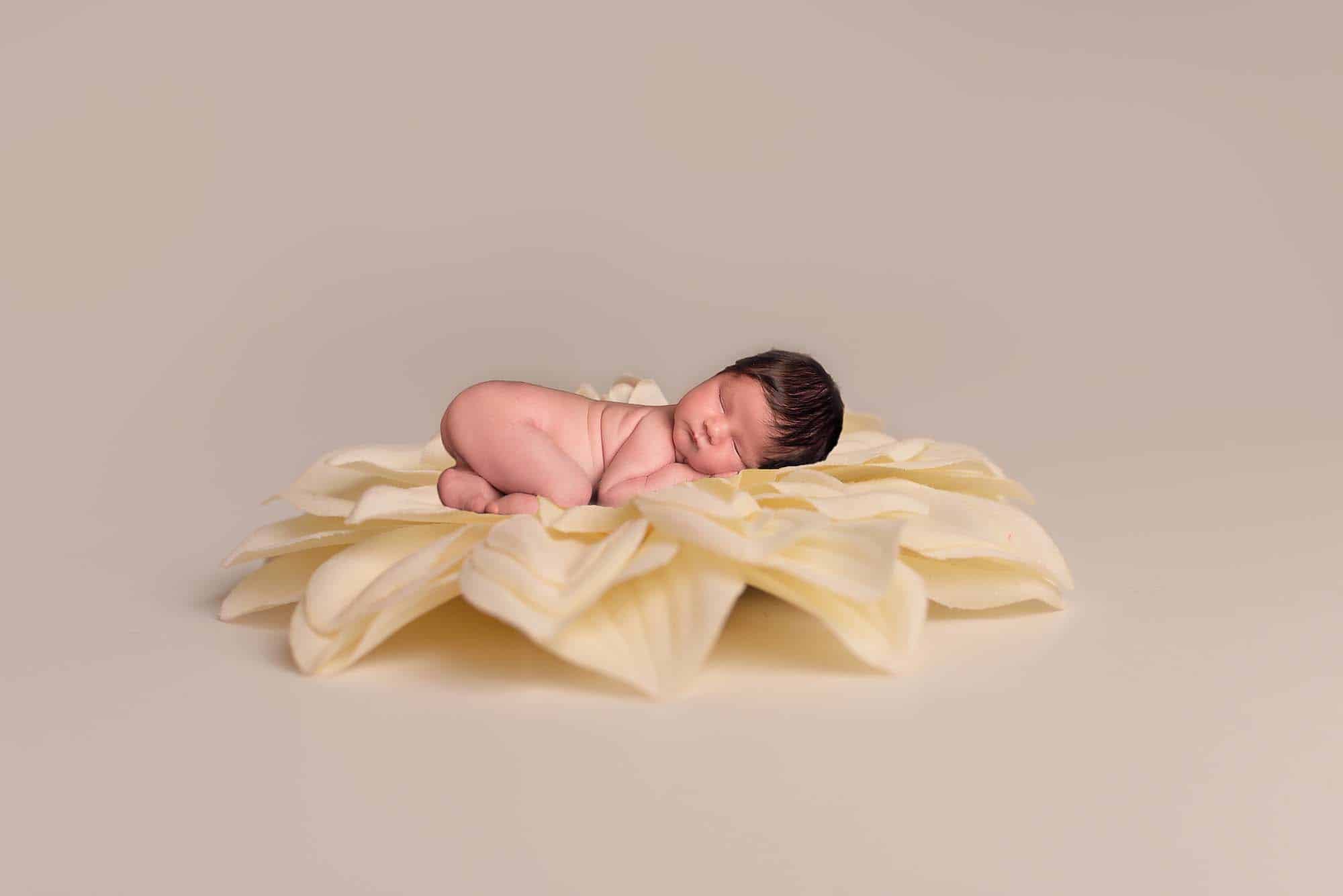newborn baby boy on flower photographed by Newborn Photographer Cheshire